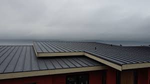 Best Rubber Roofing (EPDM, TPO)  in Rice Lake, WI